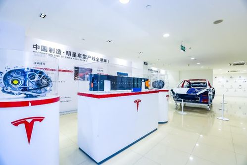 管中窺豹 上海超級工廠主題展登陸山城，揭秘特斯拉硬核科技與重慶心理咨詢跨界融合